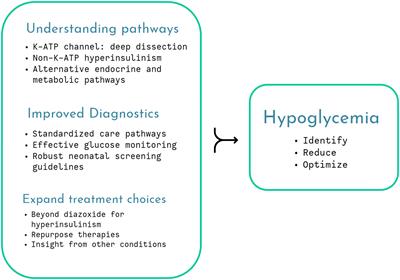 Editorial: The problem of childhood hypoglycemia, volume II